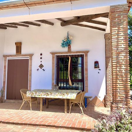 Finca Rural Mazuqueto Jubrique 外观 照片
