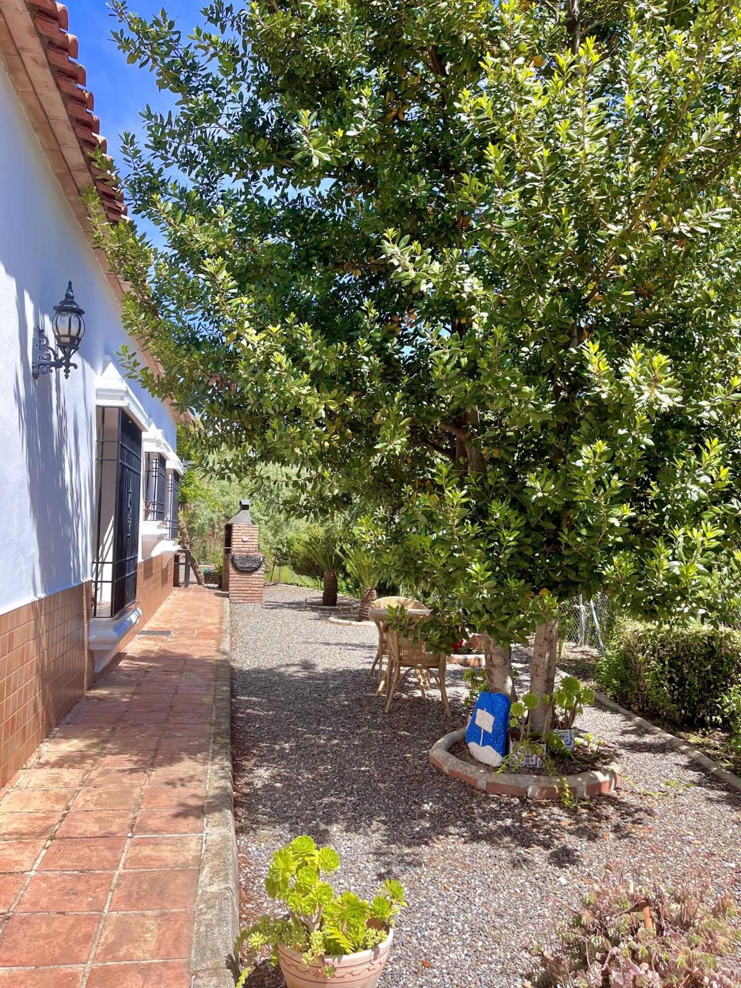 Finca Rural Mazuqueto Jubrique 外观 照片