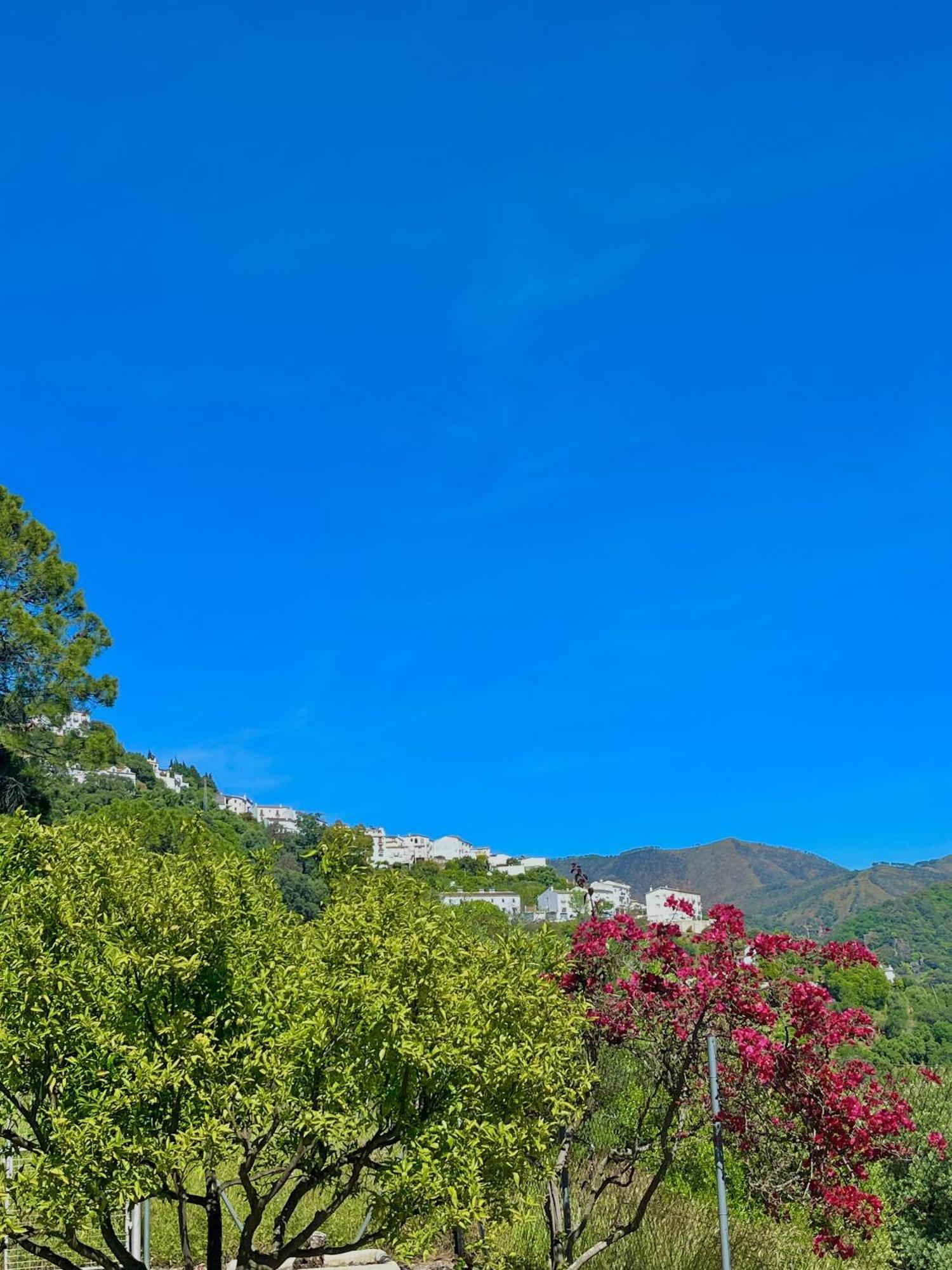 Finca Rural Mazuqueto Jubrique 外观 照片